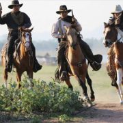 Animales en el cine